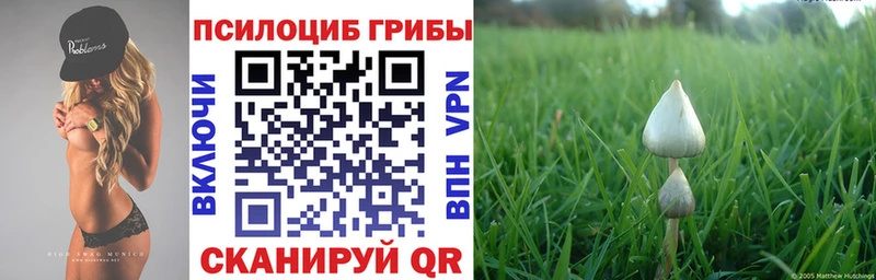Галлюциногенные грибы прущие грибы  Абинск 