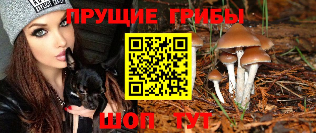 Псилоцибиновые грибы ЛСД  Вход с VPN  Абинск 